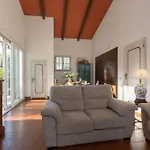 Mimosa Cortona