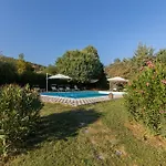 Mimosa * Cortona